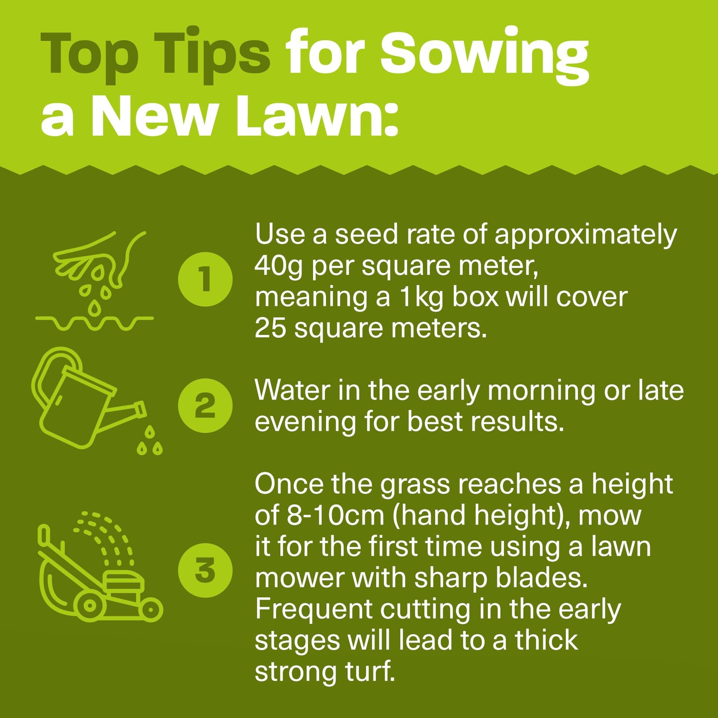 Rural Supplies Premium Grass Seed Mix 2kg - Covers up to 100m2, Hardy, Fast-Growing, Pet Safe, Perfect for UK Climate - Thick, Hard-Wearing, Easy-to-Grow, Low Maintenance Lawn