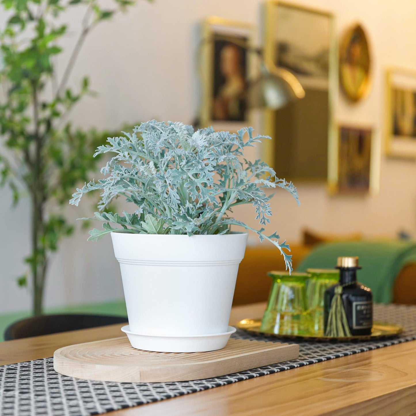 T4U 17.5CM Plastic Plant Pots 6-Pack, Large Flower Planter with Drainage Hole and Saucer, Classic Indoor Outdoor White Plant Pots for Orchid, Penoy, Rose, Snake Plant, Aloe, Tulips, Peace Lily