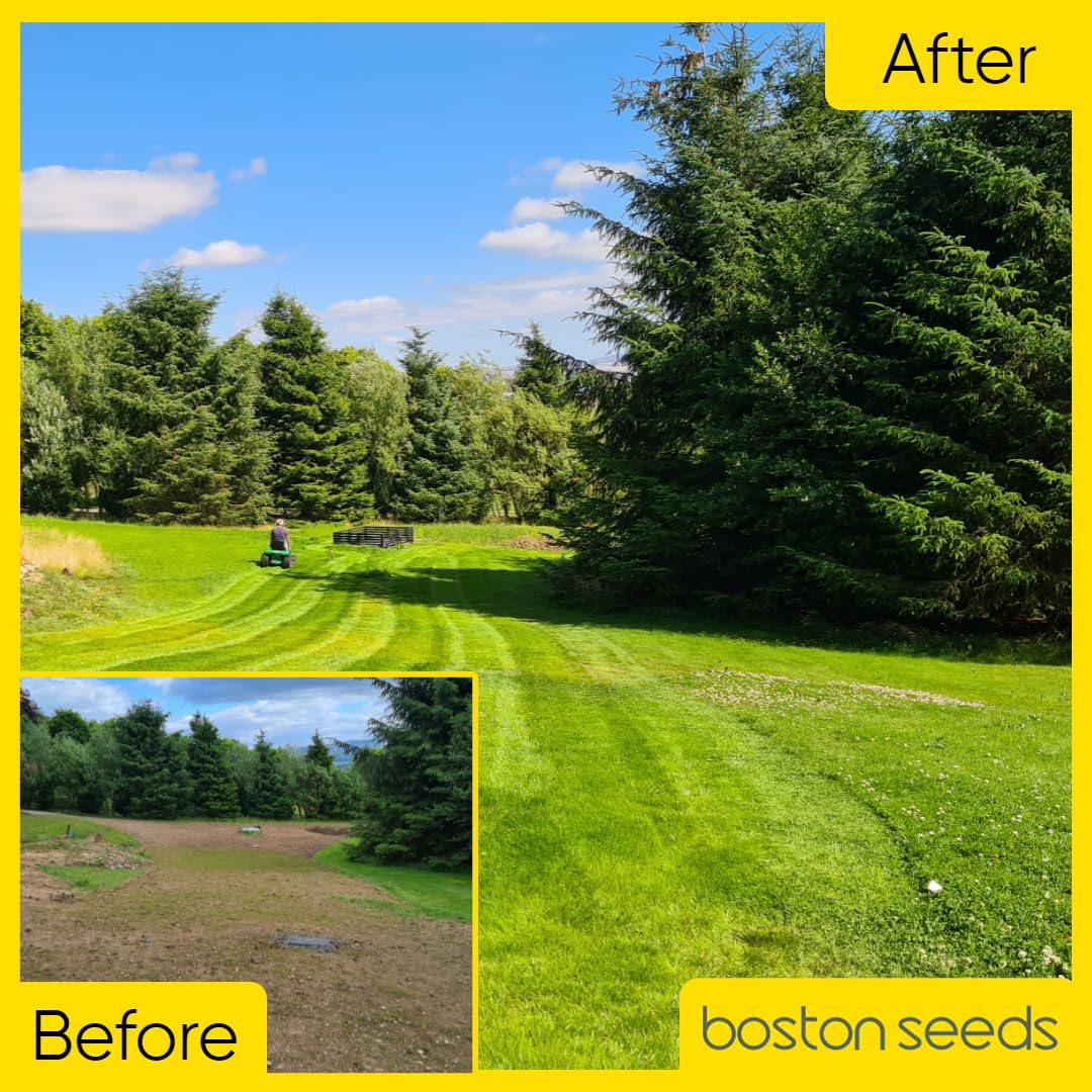 Boston Seeds Fast Growing Grass Seed - Hard Wearing Grass Seeds in Various Weights. Rapid Germination Seeds for Lawns & Landscapes (Eco - 20Kilogram)