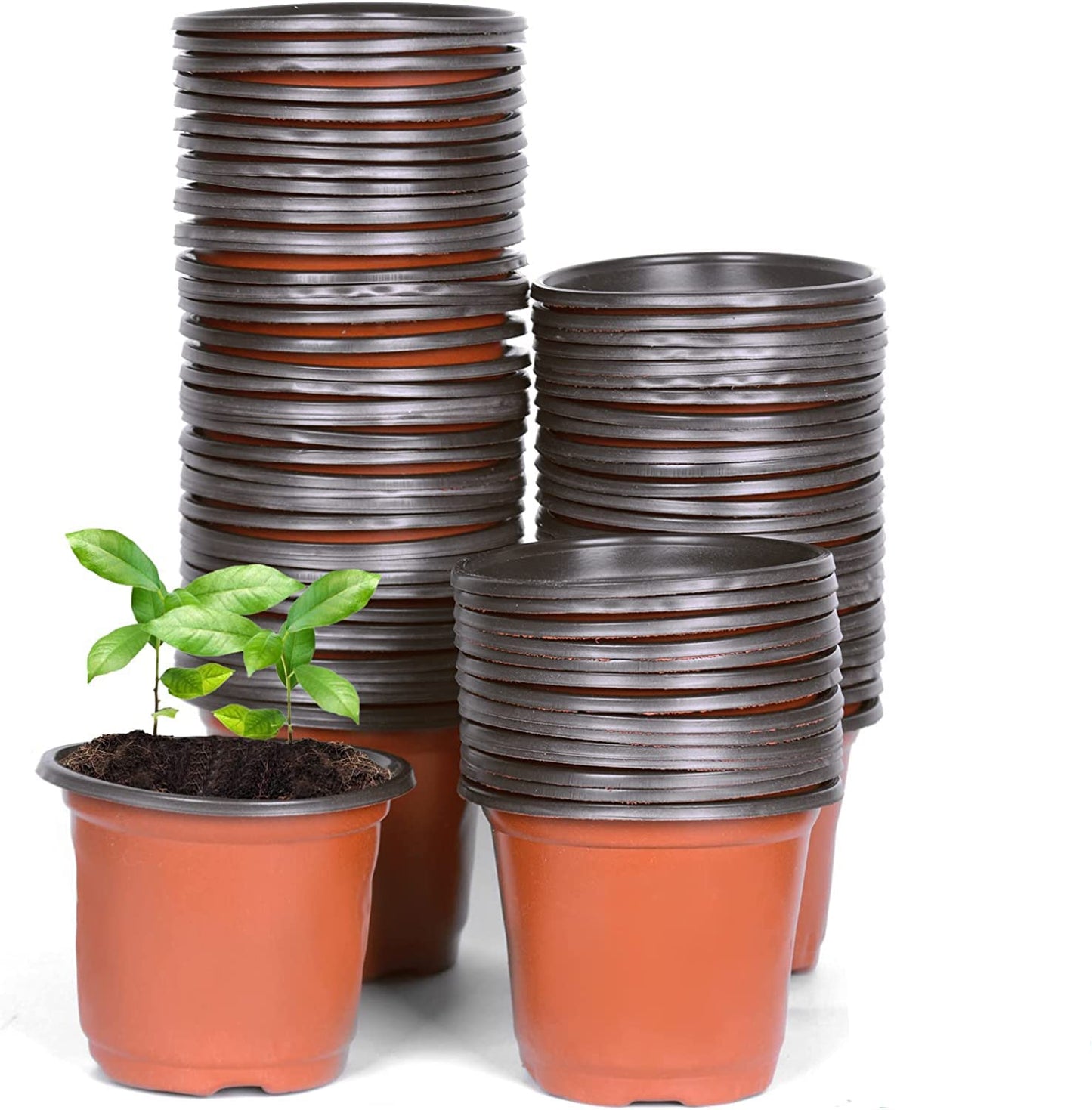 Cymax 100 Pack 10cm Plants Nursery Pots with Plant Lables,Reusable Plant Seeding Plastic Plant Flower Container Seed Starting Pots for Succulents,Herb,Vegetables,Seedlings, Transplanting