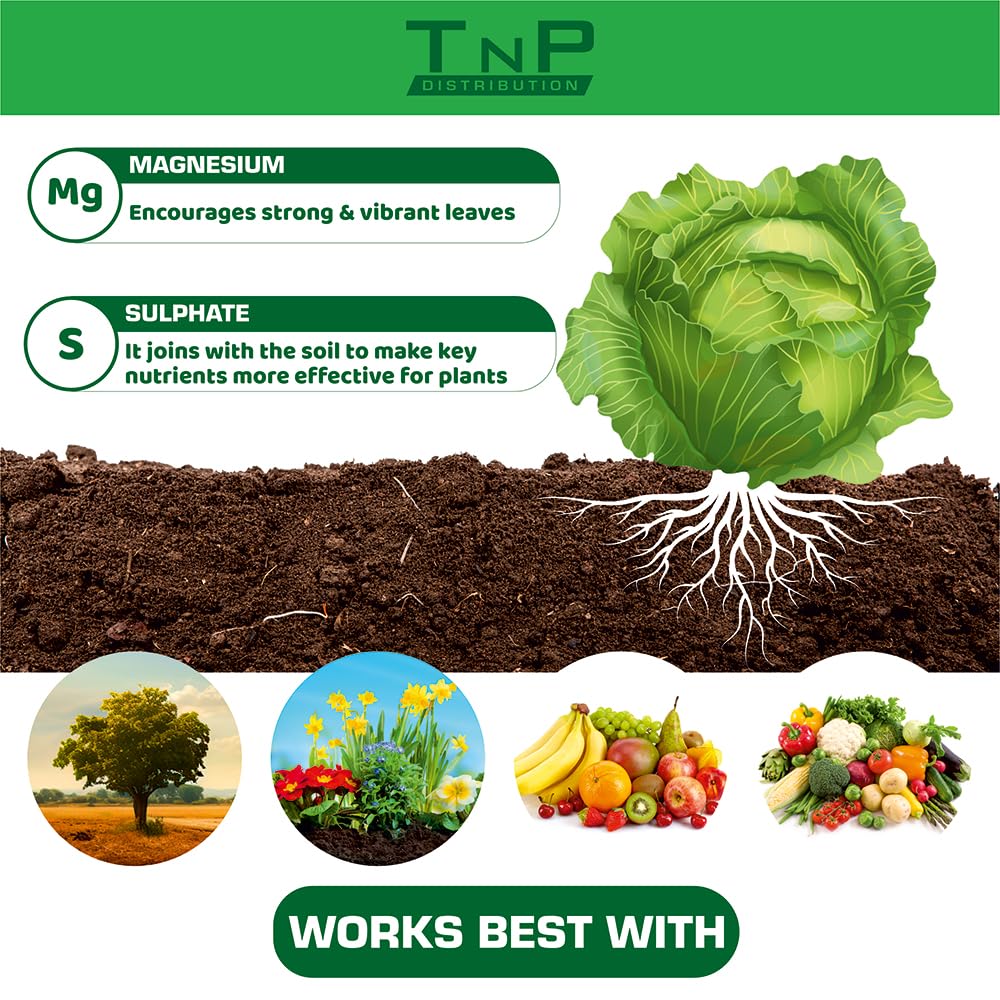 Epsom Salt Bucket for Plants, 49% MgSO4, Magnesium Cure for Yellow Leaves, Ready-to-Use Granules Garden Plant Growth, Lawn Care Magnesium Sulphate Fertiliser by Pure Source Nutrition (5KG)