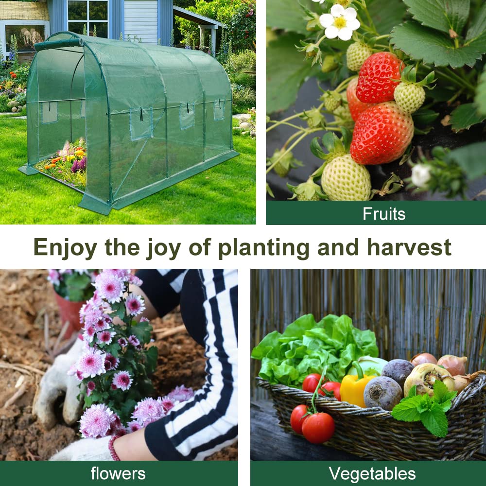 Panana Walk-in Greenhouse Galvanised Frame Polly Tunnel Patio Garden Outdoor Polytunnel 2M/3M/4M/6M (3x2x2m)