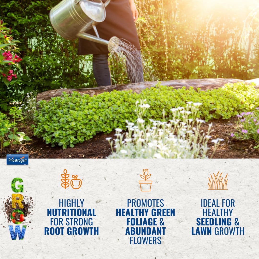 Phostrogen All Purpose Plant Food, 2kg - Plant and Edibles Fertiliser Feed - for Promoting Healthy Growth - Improves Drought Resistance - Plant Nutrition - Indoor and Garden Use