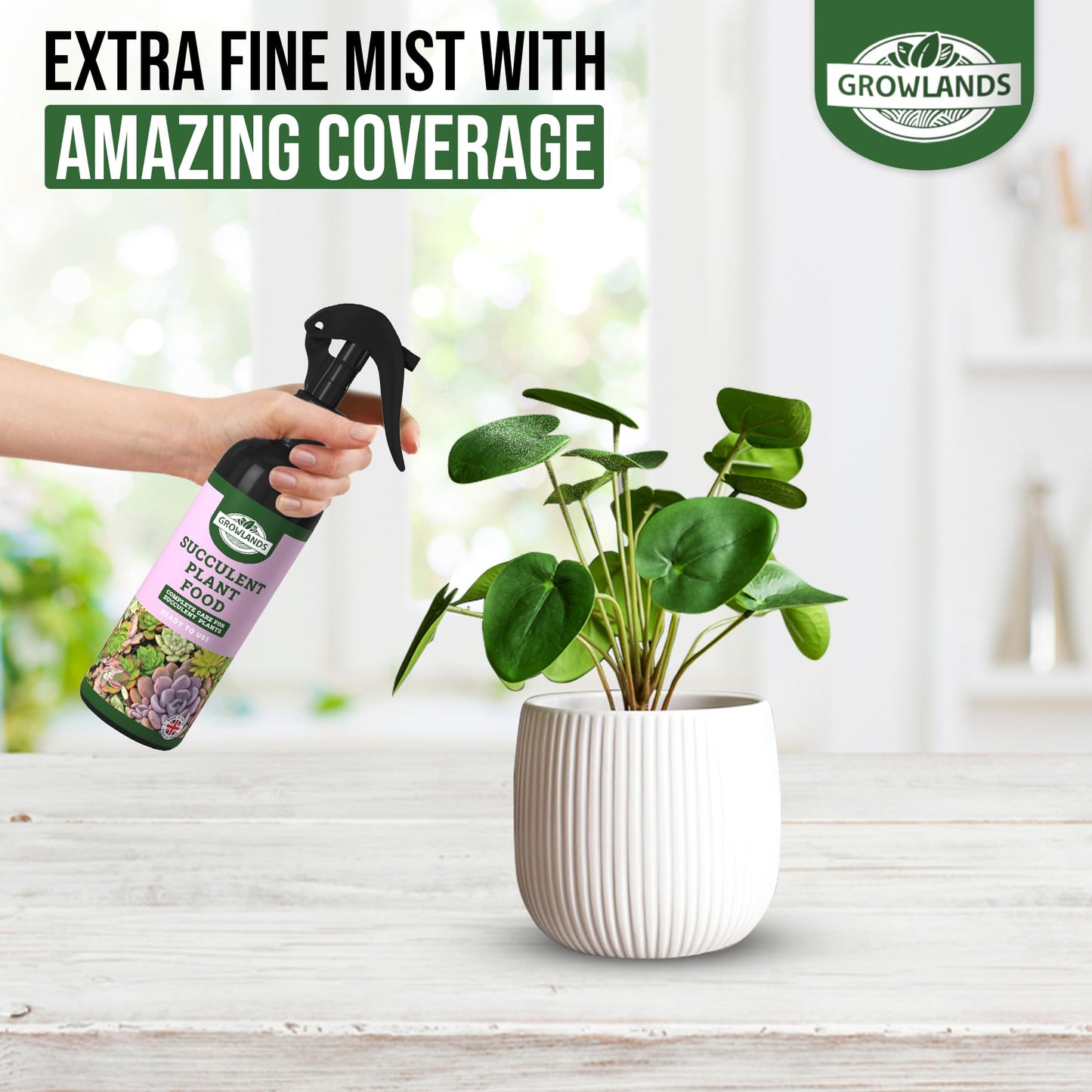 Growlands Succulent Food - 300 ml - Organic Indoor Plant Liquid Spray Fertilizer - Designed for Houseplants - Ready to Use Mist Spray - Promotes Growth and Health