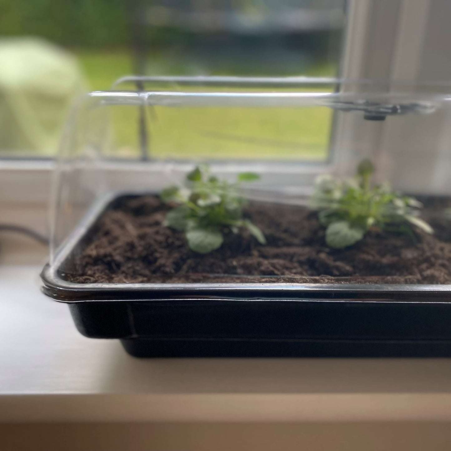 Selections Jumbo Windowsill Heated Plant Propagator (80cm)