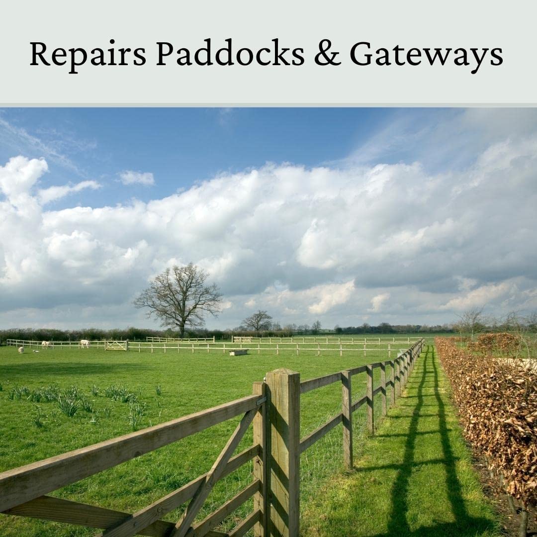 Horse Paddock Grass Seeds - Fast Growing Grass Seed for Repairs on Pastures, Fields & Gateways - Ultra Hard Wearing - 5kg - Garden Lawncare Guy