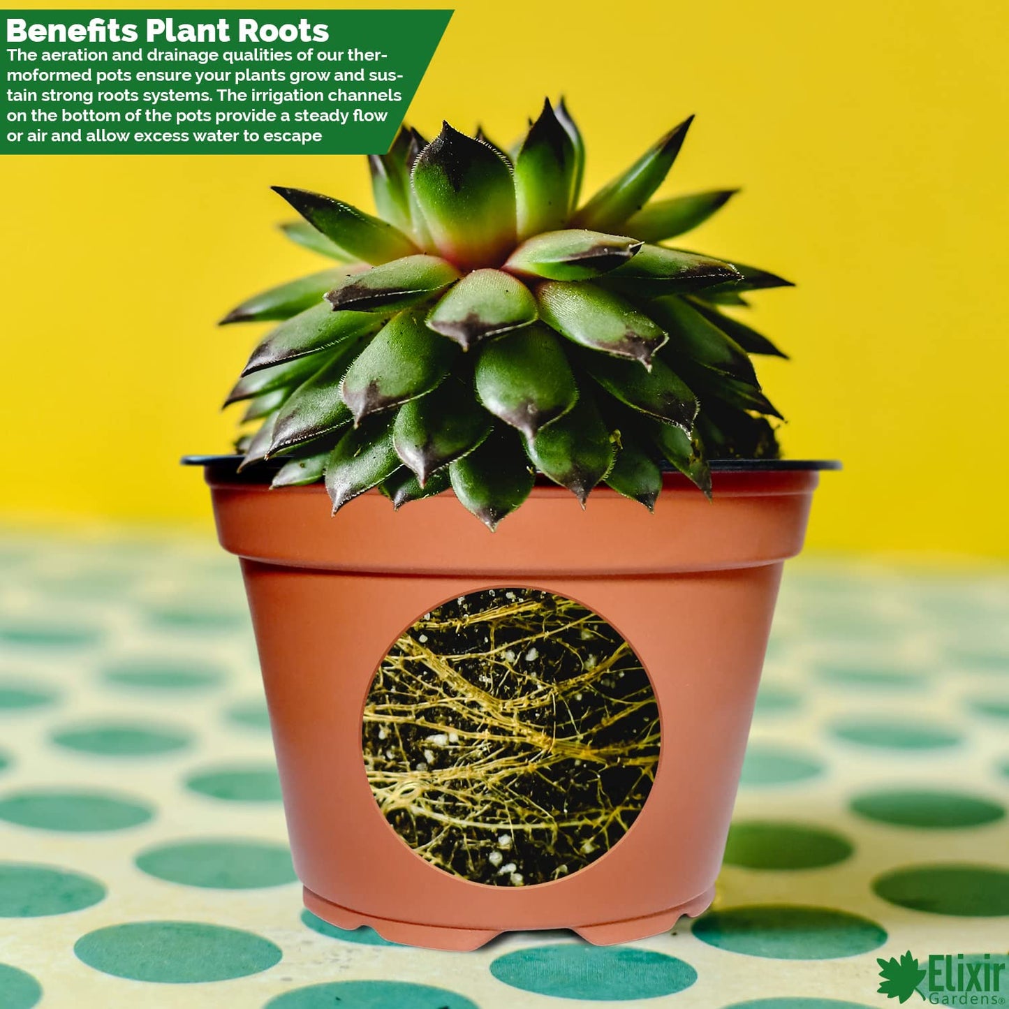 Elixir Gardens 9cm Thermoformed Seed Starting Seedling Terracotta Recycled Plastic Plant Pot/Flower Pots x 100…