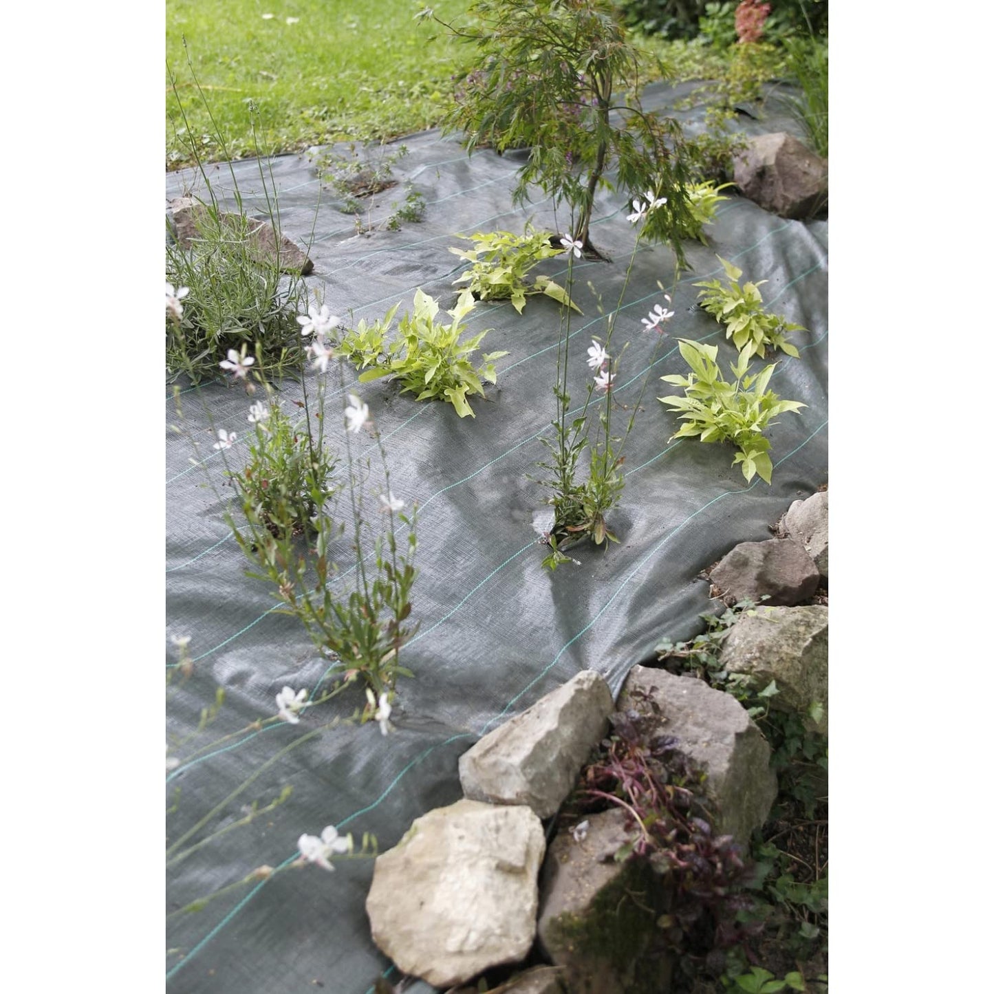 4 x 5 m / 13.1 x 16.4 ft Weed Control Membrane, Weed Control Woven Fabric, Ground Cover Sheet, 100 GSM, UV Stabilised, Weed Barrier Mat. Perfect for Gardens, Patios, Flower Beds, Landscaping (Black)