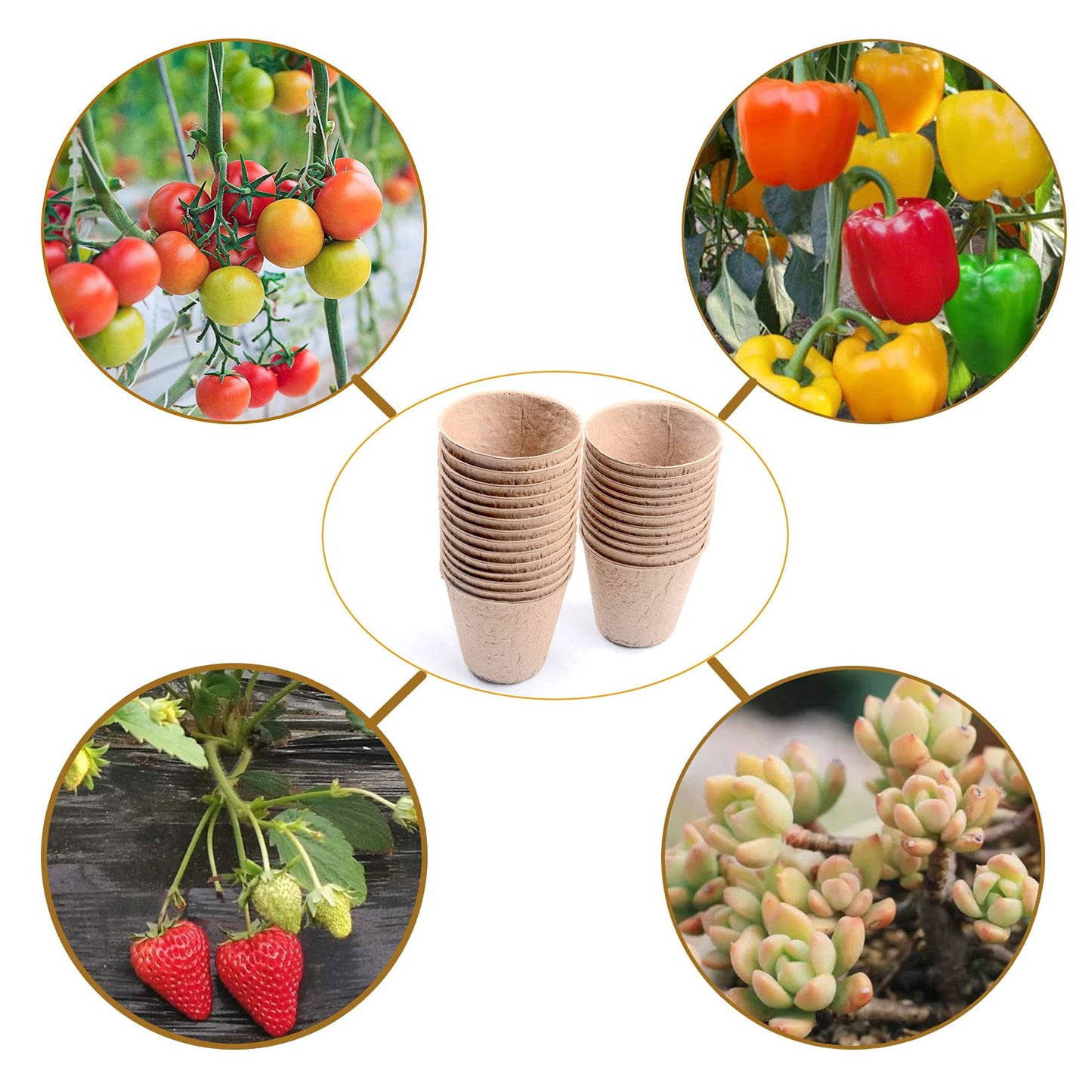 Atoke 50 Piece Seedling Pots,Seed Starter Pots Biodegradable Plants Pots,3 Pcs Mini Seedling Tools for Garden Germination Nursery Pot for Indoor Outdoor,Beige