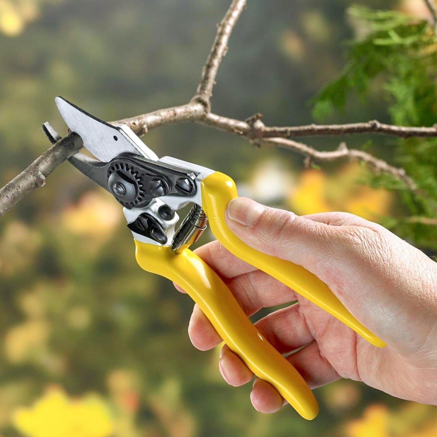 ZAVIA Hedge Shears for Gardening | Set of 21” Hedge Shear & 8” Pruning Garden Secateurs | Long Handled Lawn Shears for Hedges, Shrubs & Bushes | Anti Rust Carbon Steel Blade Hedge Shear Pruner Set