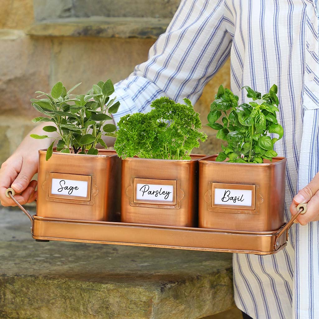 Dibor Indoor Herb Planters on Tray Set of 3 Rustic Copper Metal Kitchen Windowsill Plant Pots Spring Easter Gardening Gift