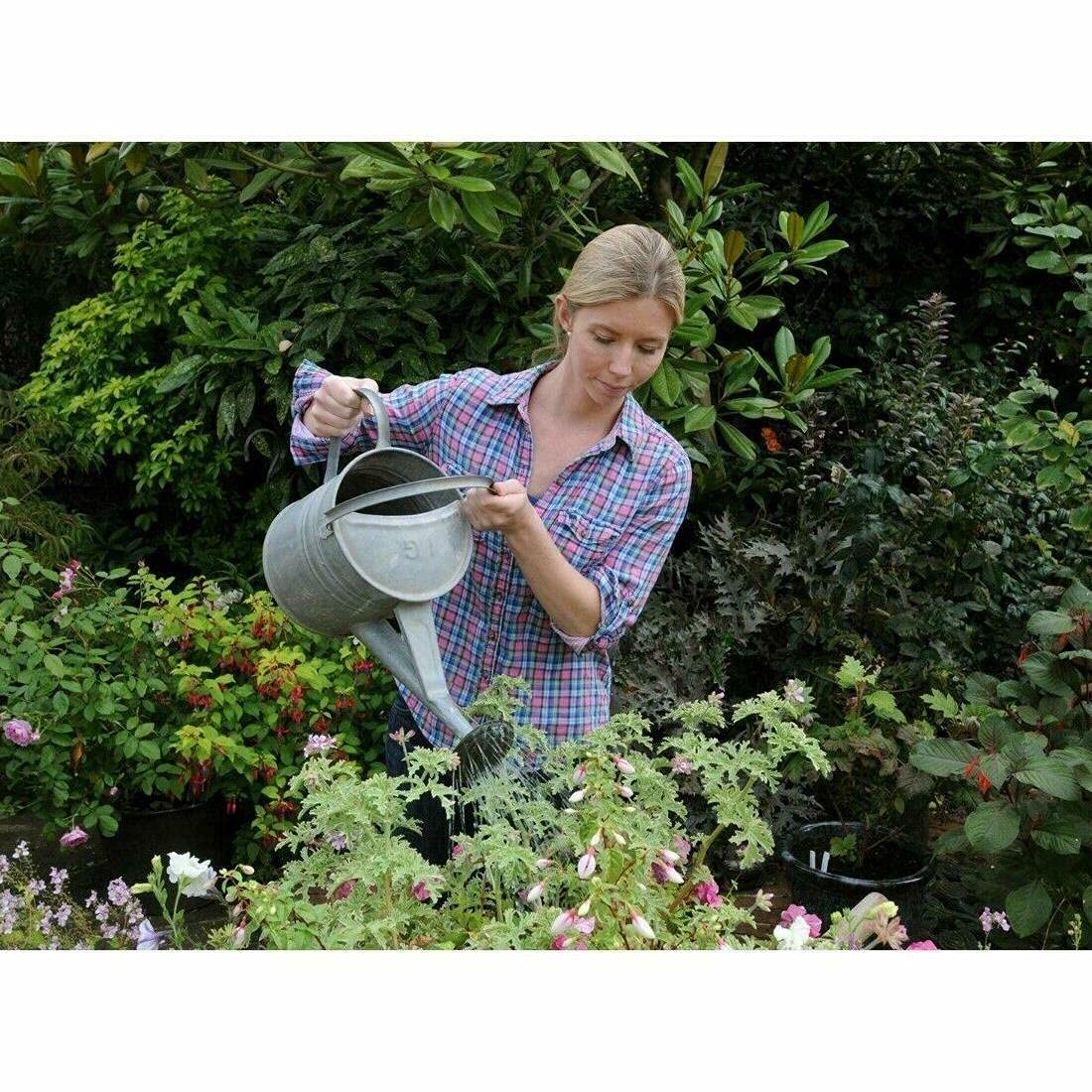 Miracle-Gro All Purpose Plant Food 1kg PLUS 20% Free