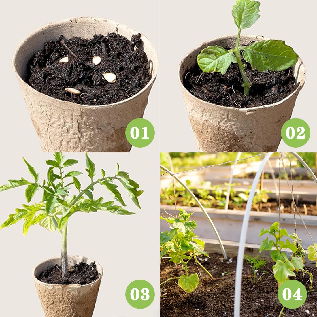 XIZAO Round Fibre Seed Pots, Biodegradable Plant Pots Germination Seedling Pots for Plant Cultivation Compostable Containers 50 Pcs