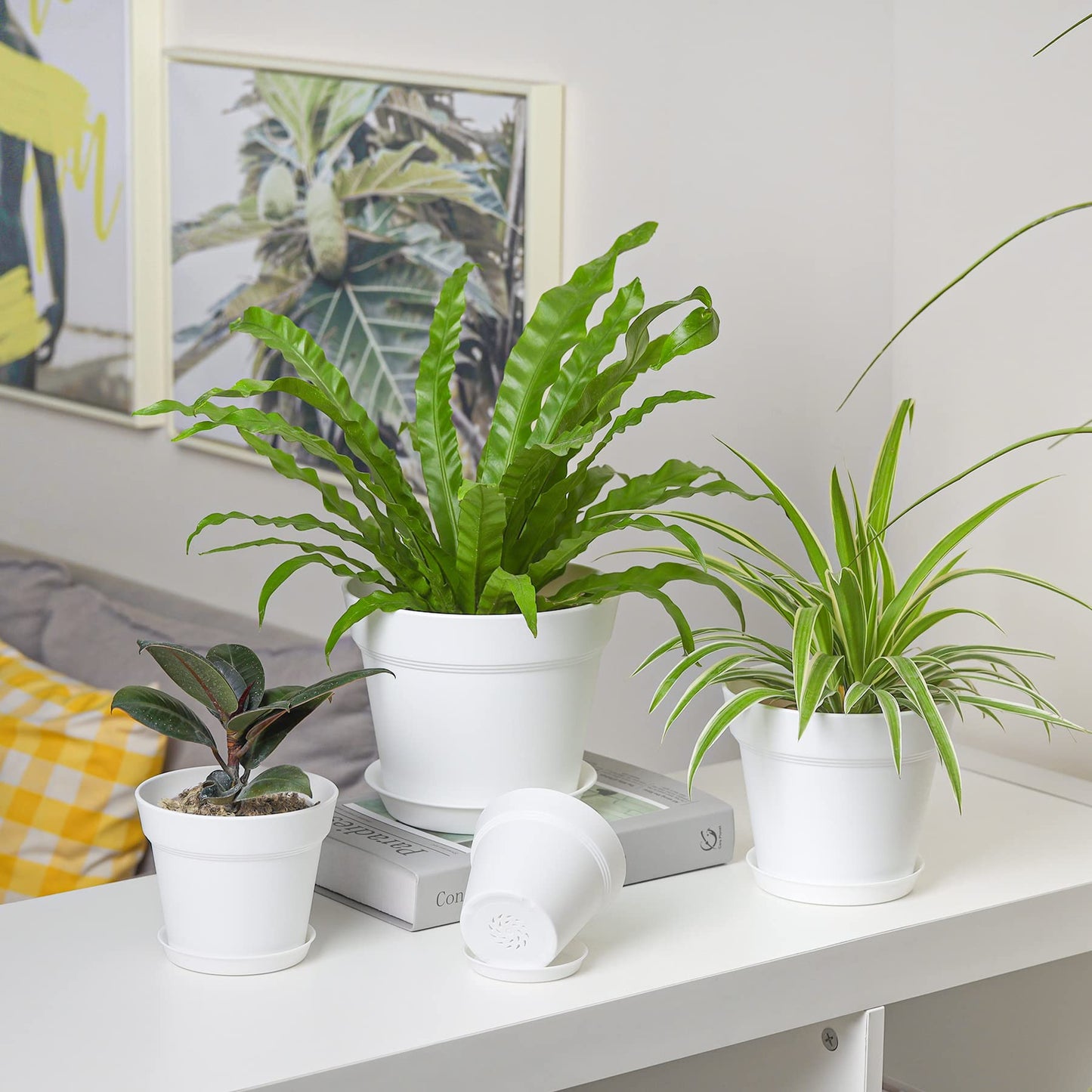 T4U 17.5CM Plastic Plant Pots 6-Pack, Large Flower Planter with Drainage Hole and Saucer, Classic Indoor Outdoor White Plant Pots for Orchid, Penoy, Rose, Snake Plant, Aloe, Tulips, Peace Lily