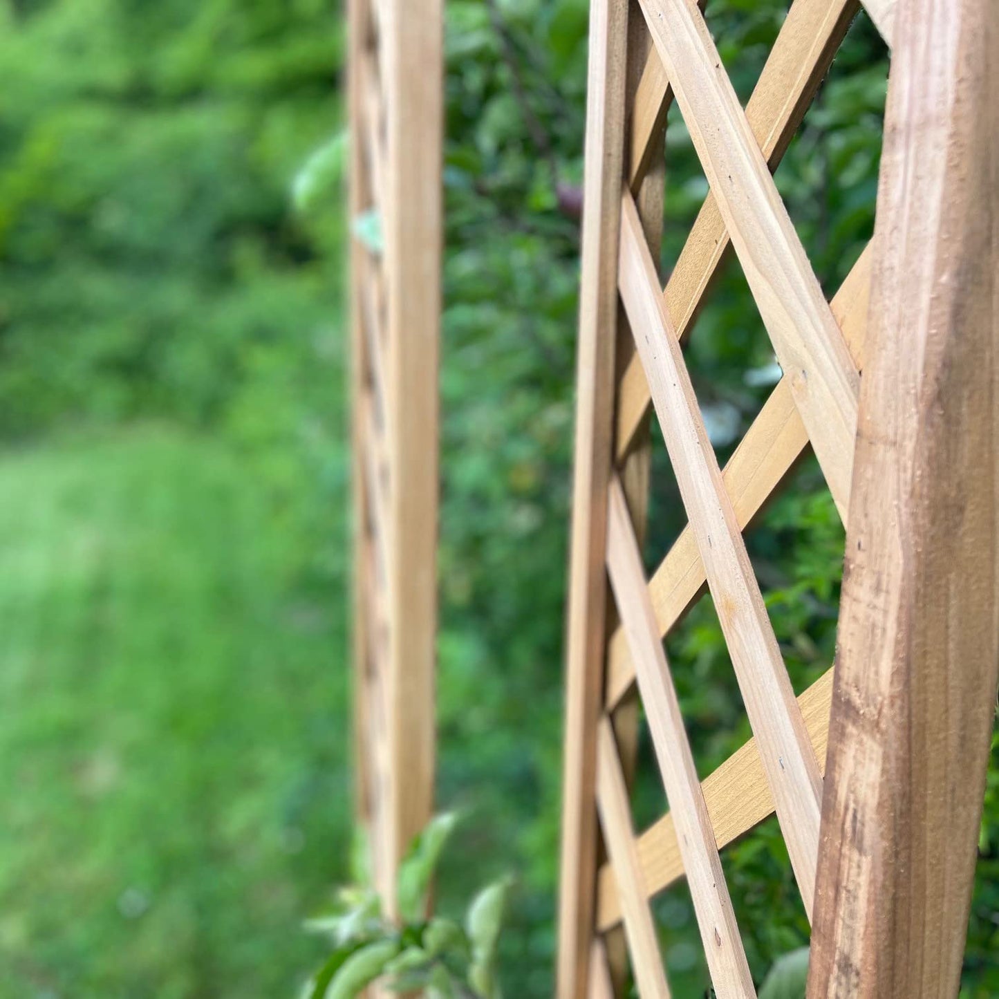 Selections Pack of 5 Wooden Framed Garden Trellis with Lattice Framework Fence Topper 180cm x 30cm