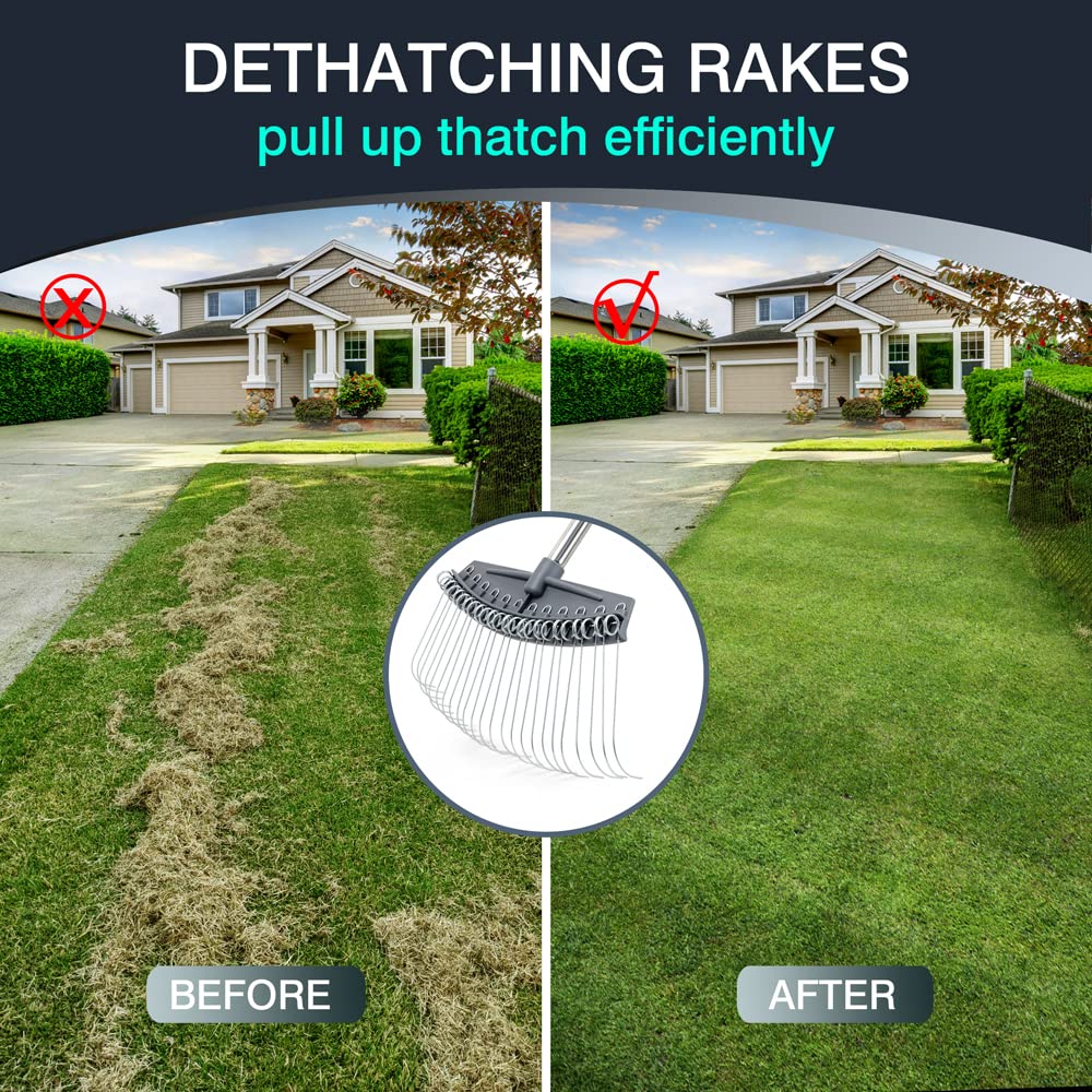 Colwelt Thatch Rake -24 Steel Tines, Thatch Rakes for Lawns with 137cm Lightweight Stainless Steel Handle, Yard Dethatching Rakes for Your Lawn(Thatch, Dead Grass, Leaves, Mulch, Pine Needles)