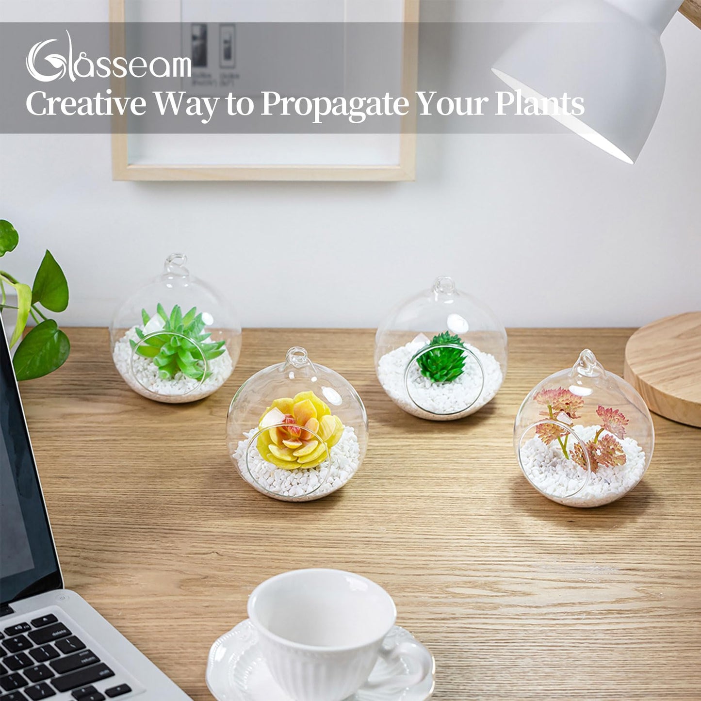 10cm Hanging Glass Globes Terrarium Orbs 6 Pcs Glass Planter Big Opening Air Fern Plants Vase Hanger 4 Inches for Home Party Wedding Garden DIY Design