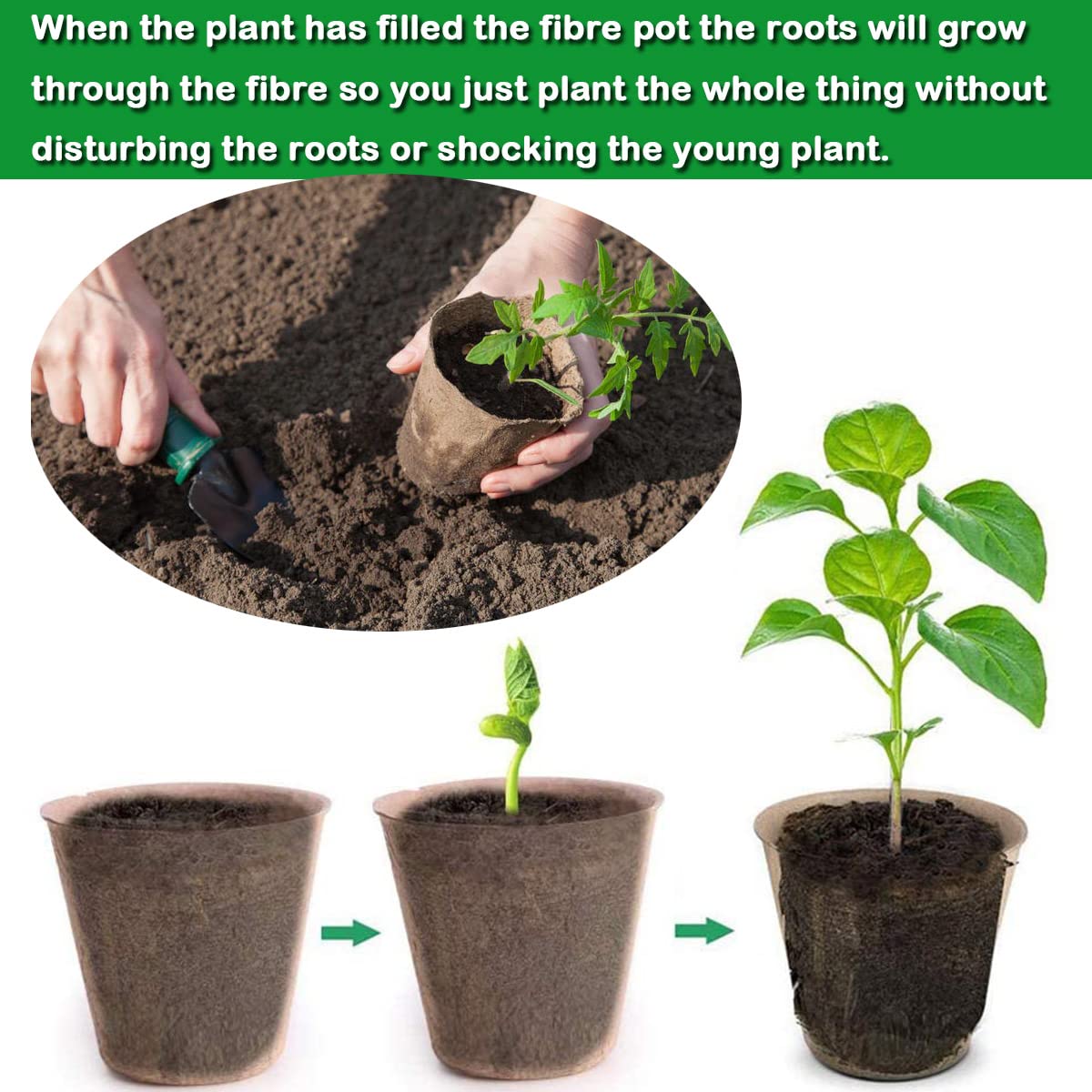 Abimars Biodegradable Fibre Seed Pots, 50 Pcs 8 cm Round Fibre Pots for Seedling with 50 Pcs Plastic Plant labels and Plant label pen