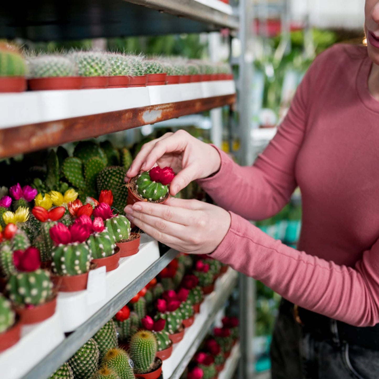 KINGLAKE 50Pcs Mini Plastic Plant Pots 5.4cm, Small Flower Pots Round Seed Nursery Pots for Seeds Seedling Vegetabels Herbs, Terracotta Color