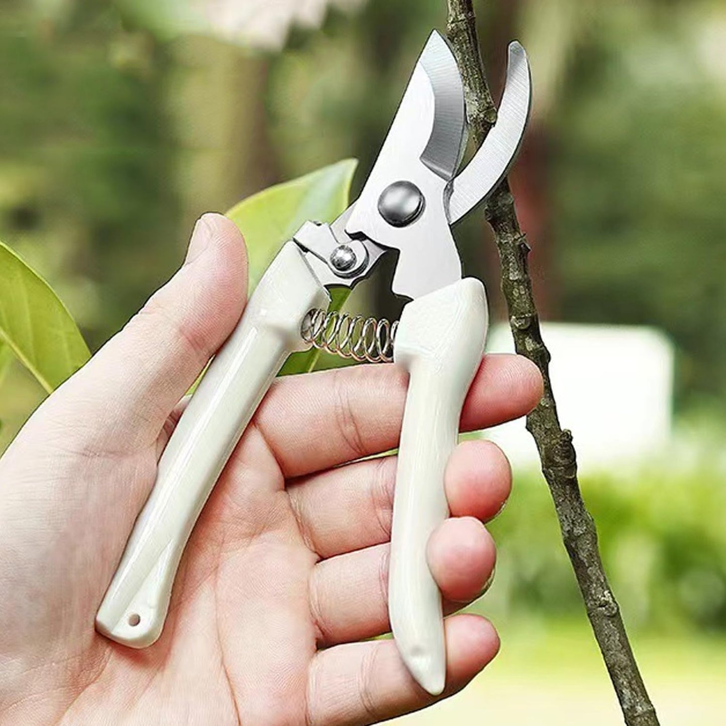 Garden Secateurs Pruning Shears Garden Scissors with Safety Locking Device Hand Pruners Tree Trimmer for Trimming Plants Fruits Picking Hedges and Flowers