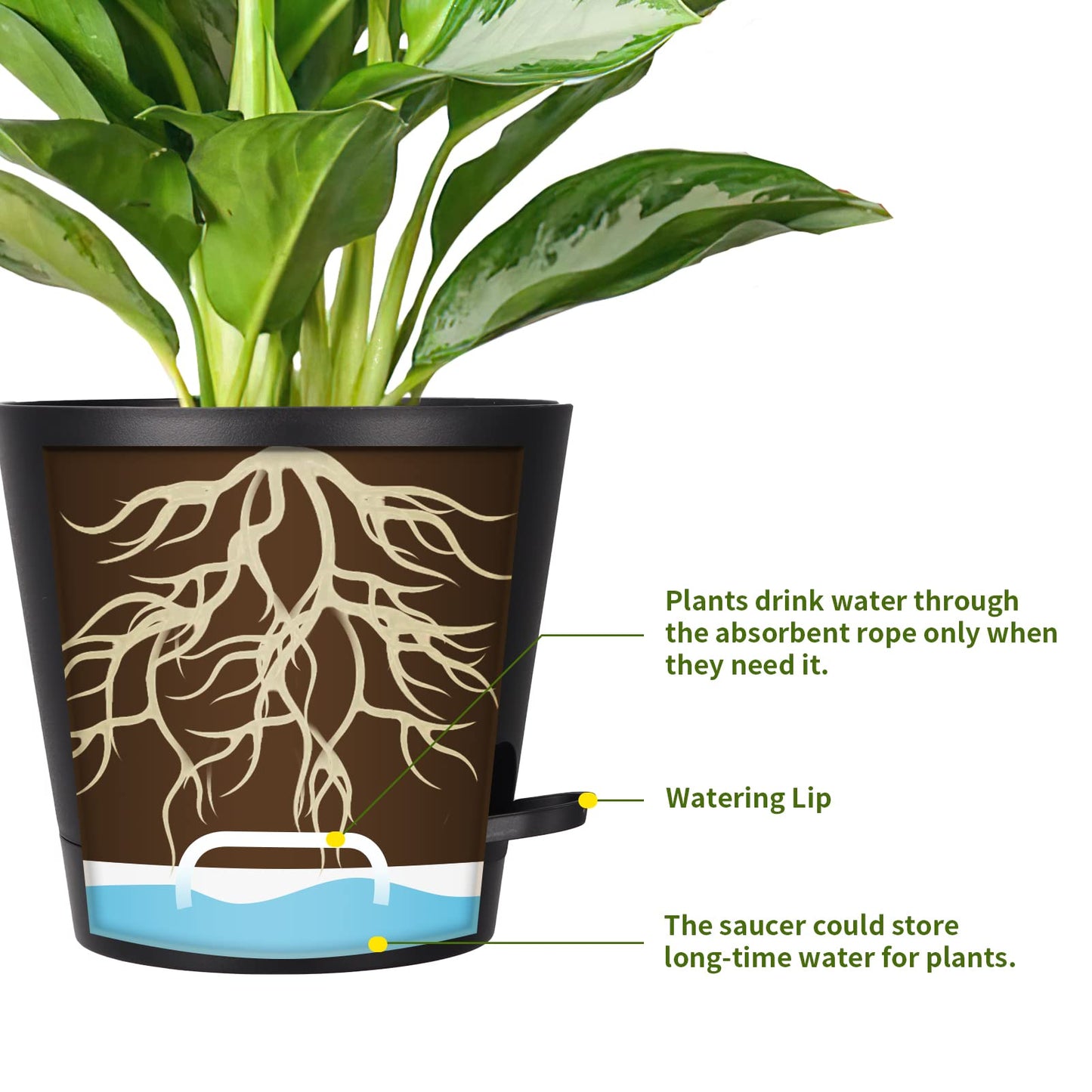 PETAFLOP Plastic Plant Pots 20cm Indoor, 6 Pack 8 Inch Self Watering Plant Pot with Drainage Hole, Saucers, Absorbent Rope and Watering Lip for House Plants, Black