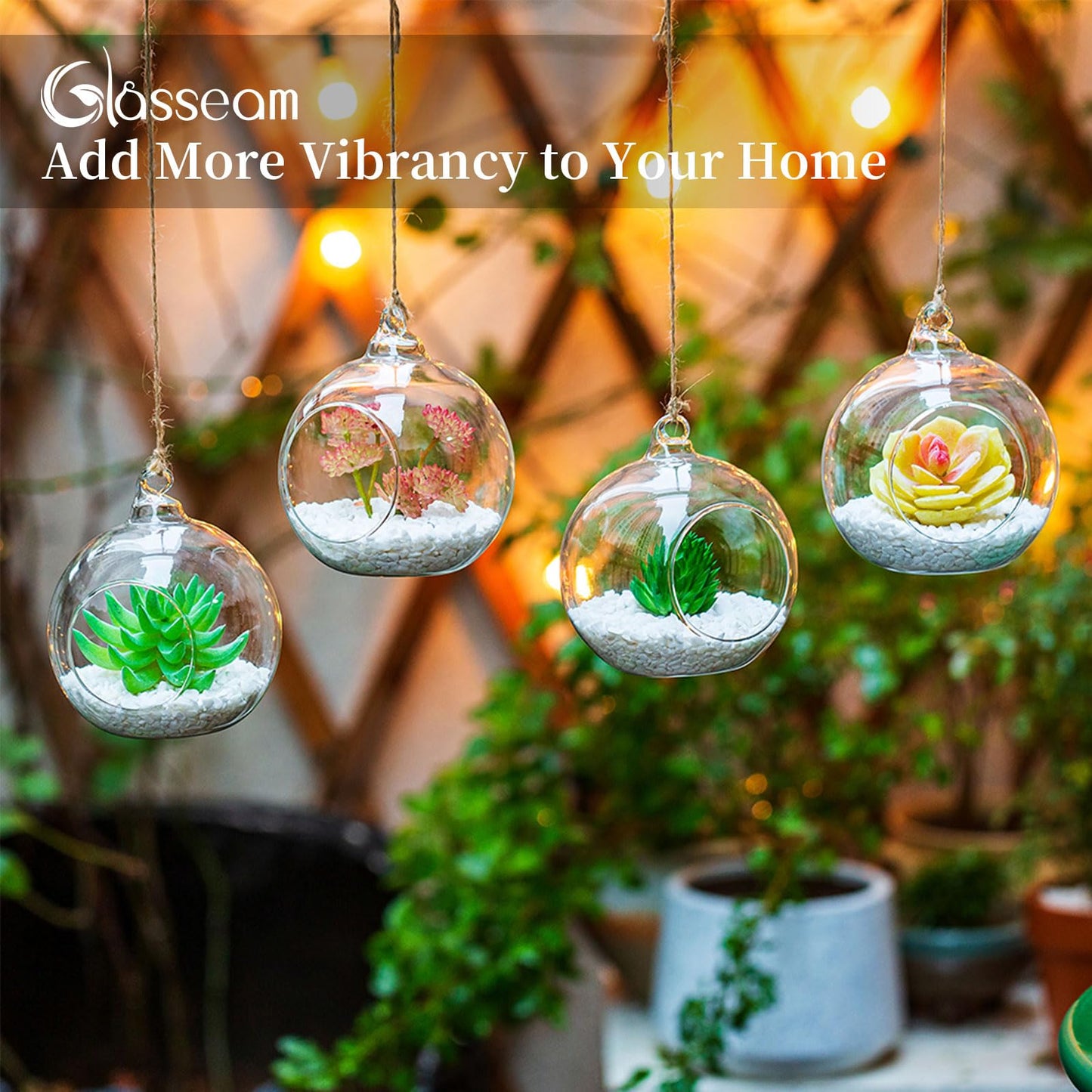 10cm Hanging Glass Globes Terrarium Orbs 6 Pcs Glass Planter Big Opening Air Fern Plants Vase Hanger 4 Inches for Home Party Wedding Garden DIY Design
