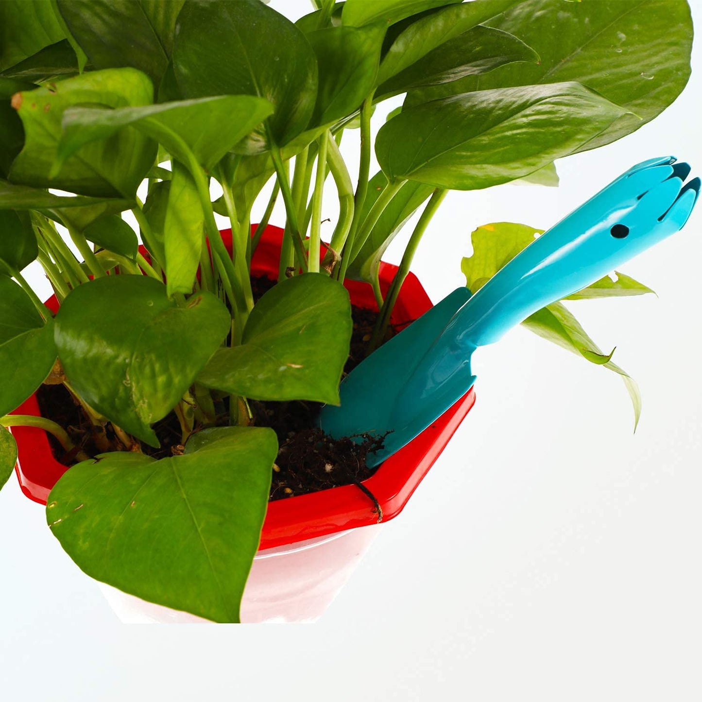 FGYZYP 4 Pcs Garden Mini Colorful Iron Hand Shovel, Trowel Set Garden Light Duty Tool, Miniature Succulent Indoor Outdoor Care for Flower Soil Plant Dig Transplant Kid Teen Women Men Gardening Gift