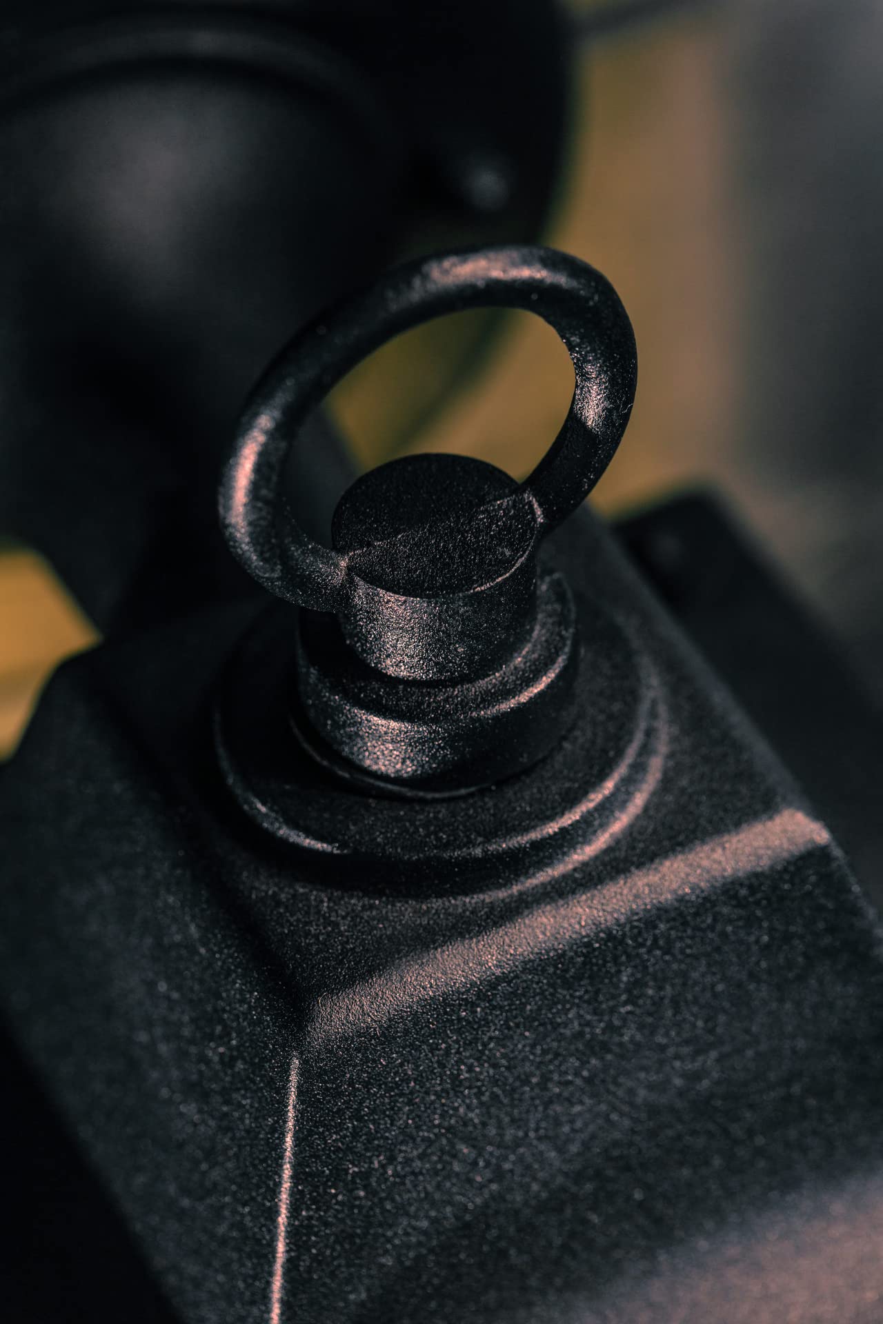 CGC Lighting Outdoor Outside Wall Light Mains Power Bevelled Glass Coach Lantern Porch Garden Decorative Lamp Fixture Waterproof (Black)