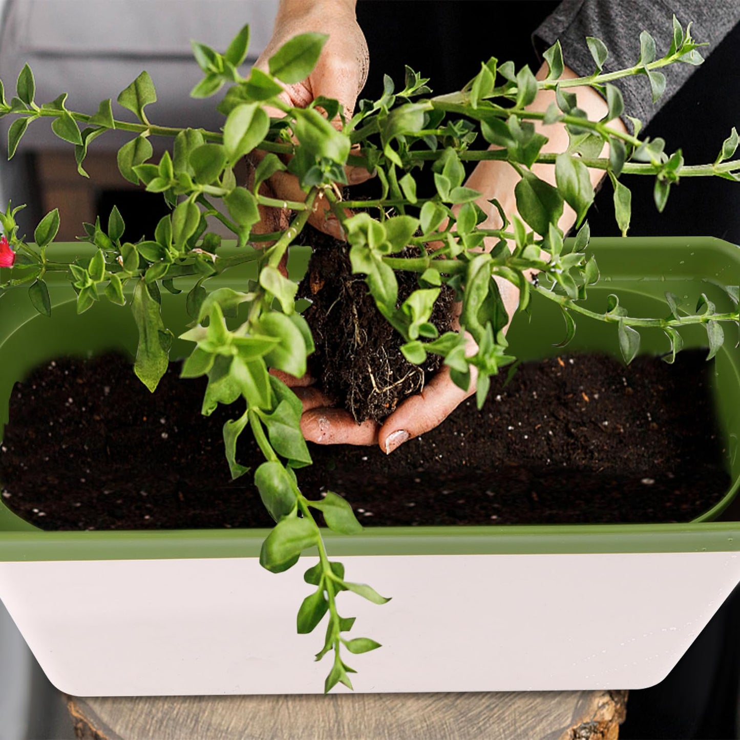 6Pack Self Watering Plant Pots 10.5 inch Windowsill Herb Planter Box Indoor Modern Plastic Plant Pots Planters with Water Level Window Drainage Hole Hidden Tray for Vegetables, Succulents Plants