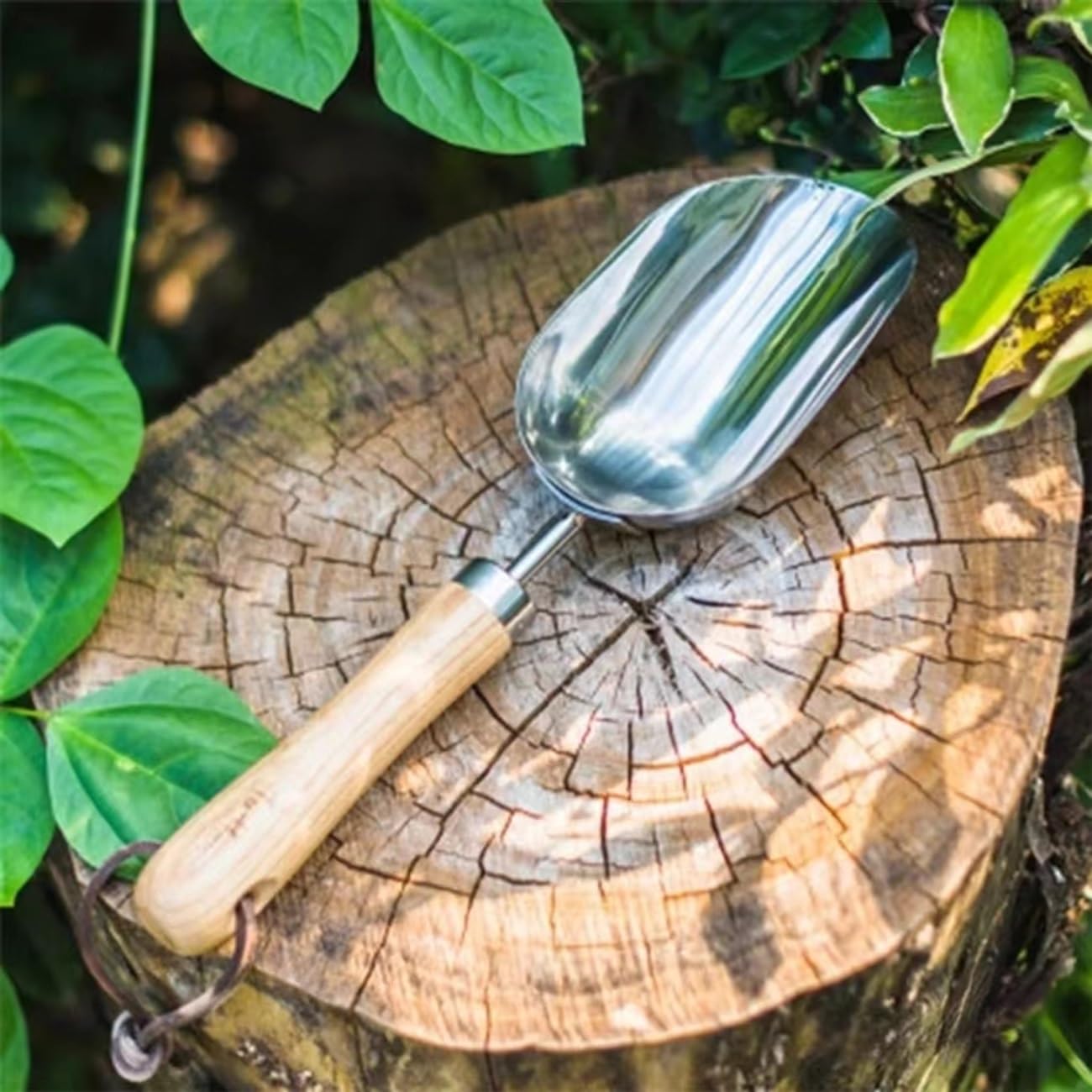 Stainless Steel Hand Potting Scoop with Wooden Handle, Soil Scoop for Indoor Plants and Compost,Compact Garden Scoop Trowel for Transplanting and Digging