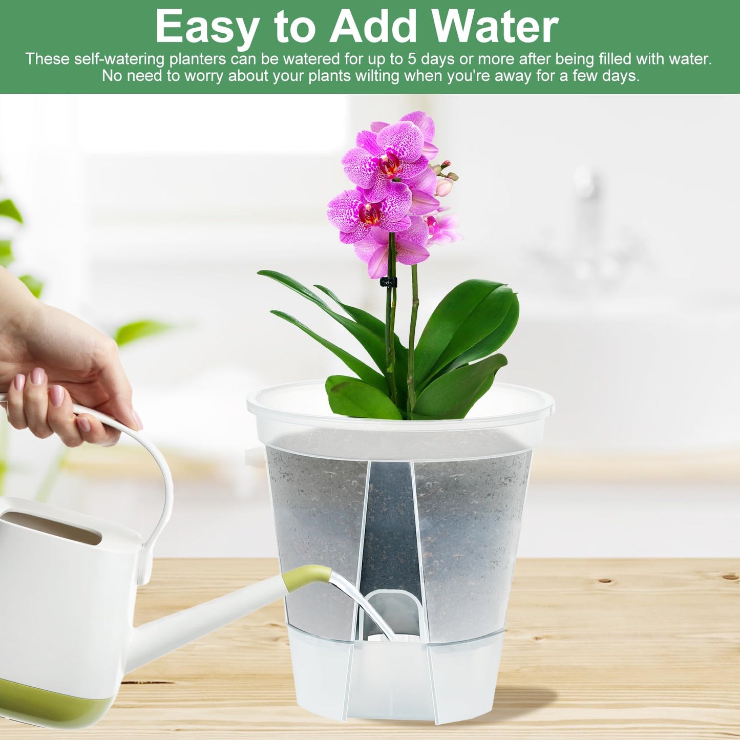 IWTTWY 3 Pack Self Watering Plant Pot, 15cm Plastic Flower Pots, Seed Seedling Pots for Indoor with Drainage Maintains, Herb Planter for Orchid, African Violet, Rose, Tulips (Clear)