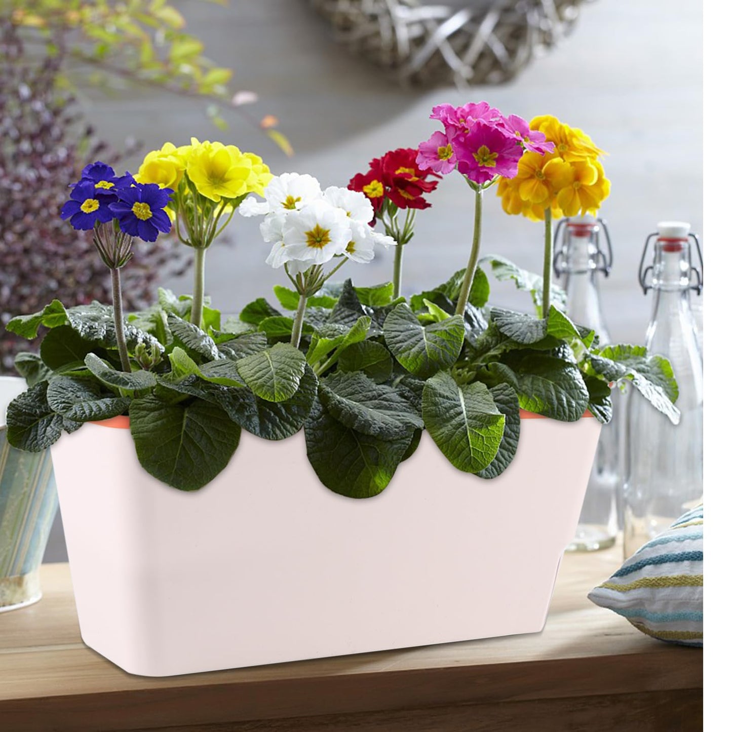 6Pack Self Watering Plant Pots 10.5 inch Windowsill Herb Planter Box Indoor Modern Plastic Plant Pots Planters with Water Level Window Drainage Hole Hidden Tray for Vegetables, Succulents Plants