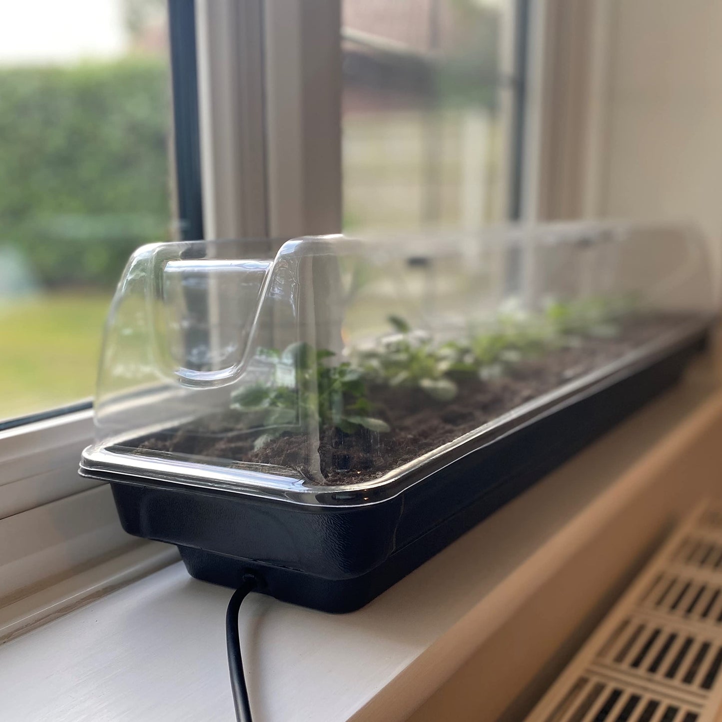 Selections Jumbo Windowsill Heated Plant Propagator (80cm)