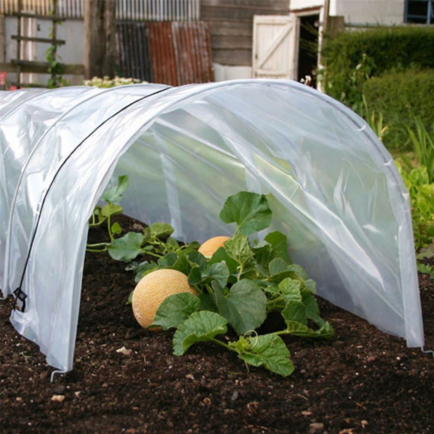 Polytunnel Plant Protector Growing Herbs Vegetables Flowers Greenhouse Tunnel Garden Planting Cloche