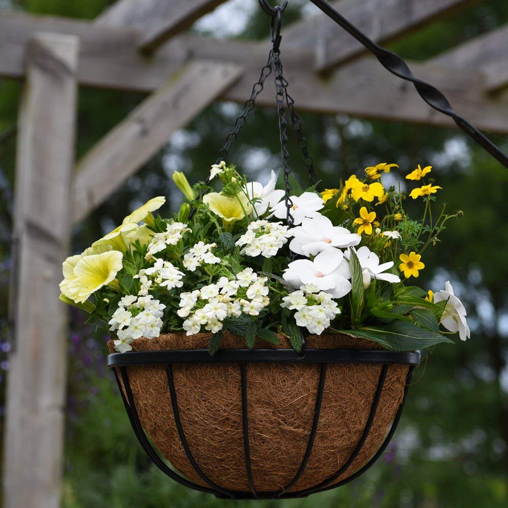 Thompson & Morgan Natural Garden Hanging Baskets & Liners Perfect for Trailing Plants and Flowers 30cm Metal Hanging Basket Frames & Coconut Husk Liners (2)