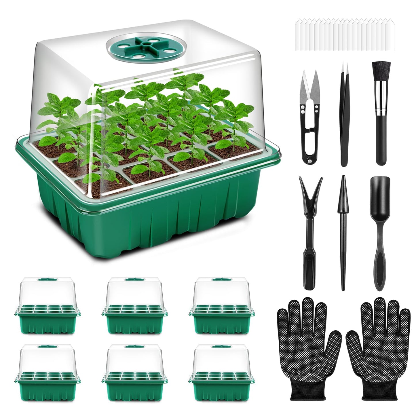 Verdenu Seed Trays, 6 PCS Propagator Kit with Heightened Lids, Seedling Starter Growing Trays with 6 Gardening Tools, and Adjustable Ventilation for Greenhouse Plant Germination
