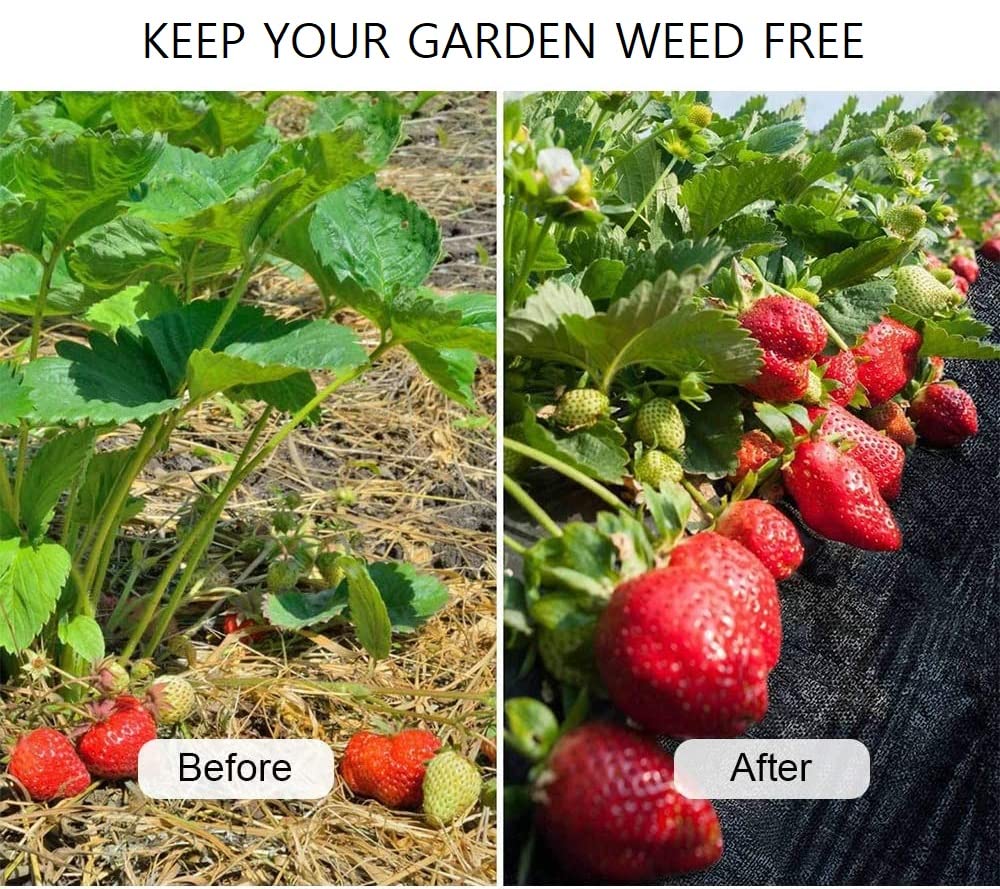 JKG WEED CONTROL MEMBRANE - Weed Barrier Suppressant Fabric | Perfect For Garden Stopping Weeds Growing Ground Cover | Anti Weed, Block Weeds Membrane Control | Allows Plants To Flourish [1M X 1.5M]