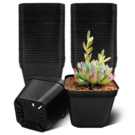 WAIZHIUA 50Pcs Plant Flower Pots 10cm Plastic Square Plant Nursery Pots Small Flower Plant Container for Succulent Fruit Vegetable Seedlings Transplanting
