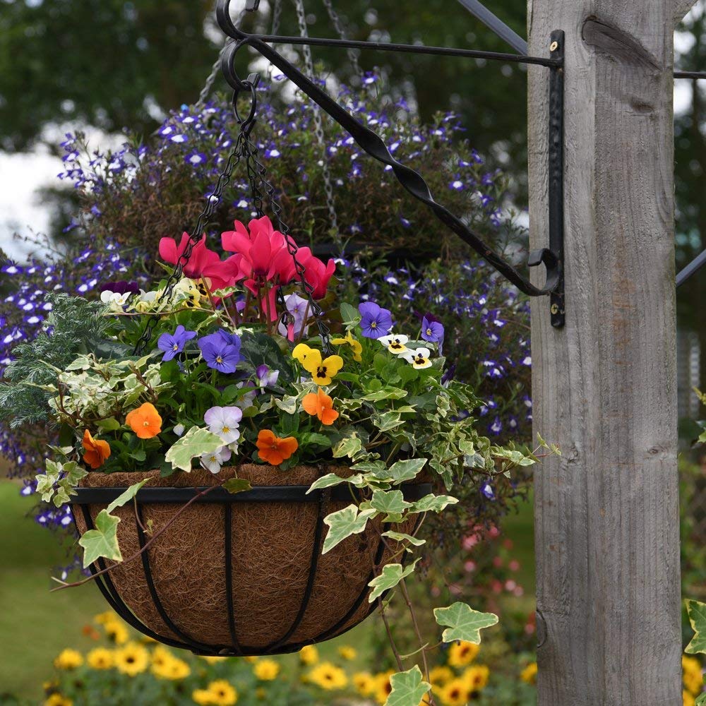Thompson & Morgan Natural Garden Hanging Baskets & Liners Perfect for Trailing Plants and Flowers 30cm Metal Hanging Basket Frames & Coconut Husk Liners (2)