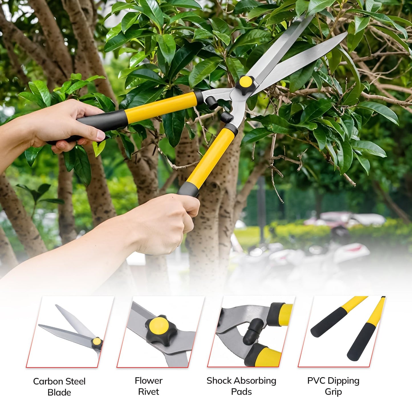 ZAVIA Hedge Shears for Gardening | Set of 21” Hedge Shear & 8” Pruning Garden Secateurs | Long Handled Lawn Shears for Hedges, Shrubs & Bushes | Anti Rust Carbon Steel Blade Hedge Shear Pruner Set