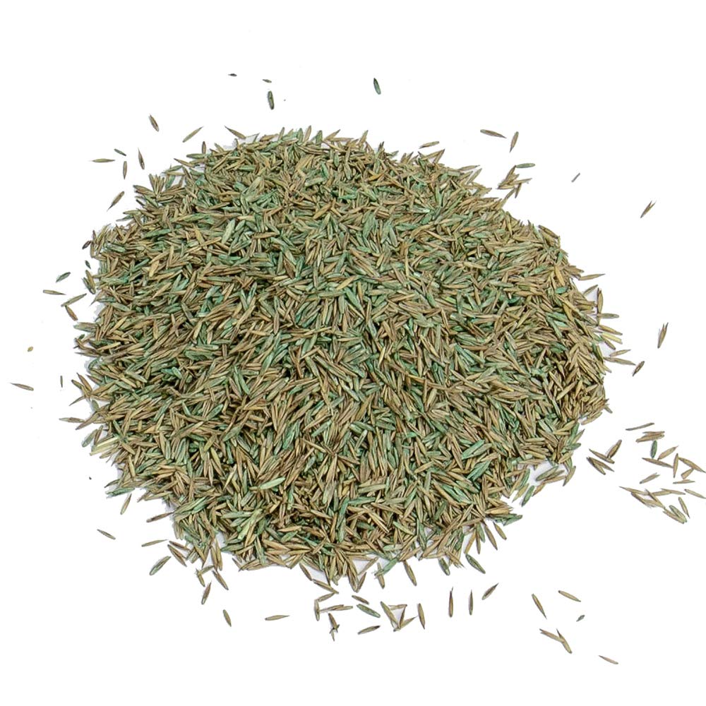 Gro-Sure 20500187 Fast Acting Grass Lawn Seed, 30 m2, 900 g, Blue,Green