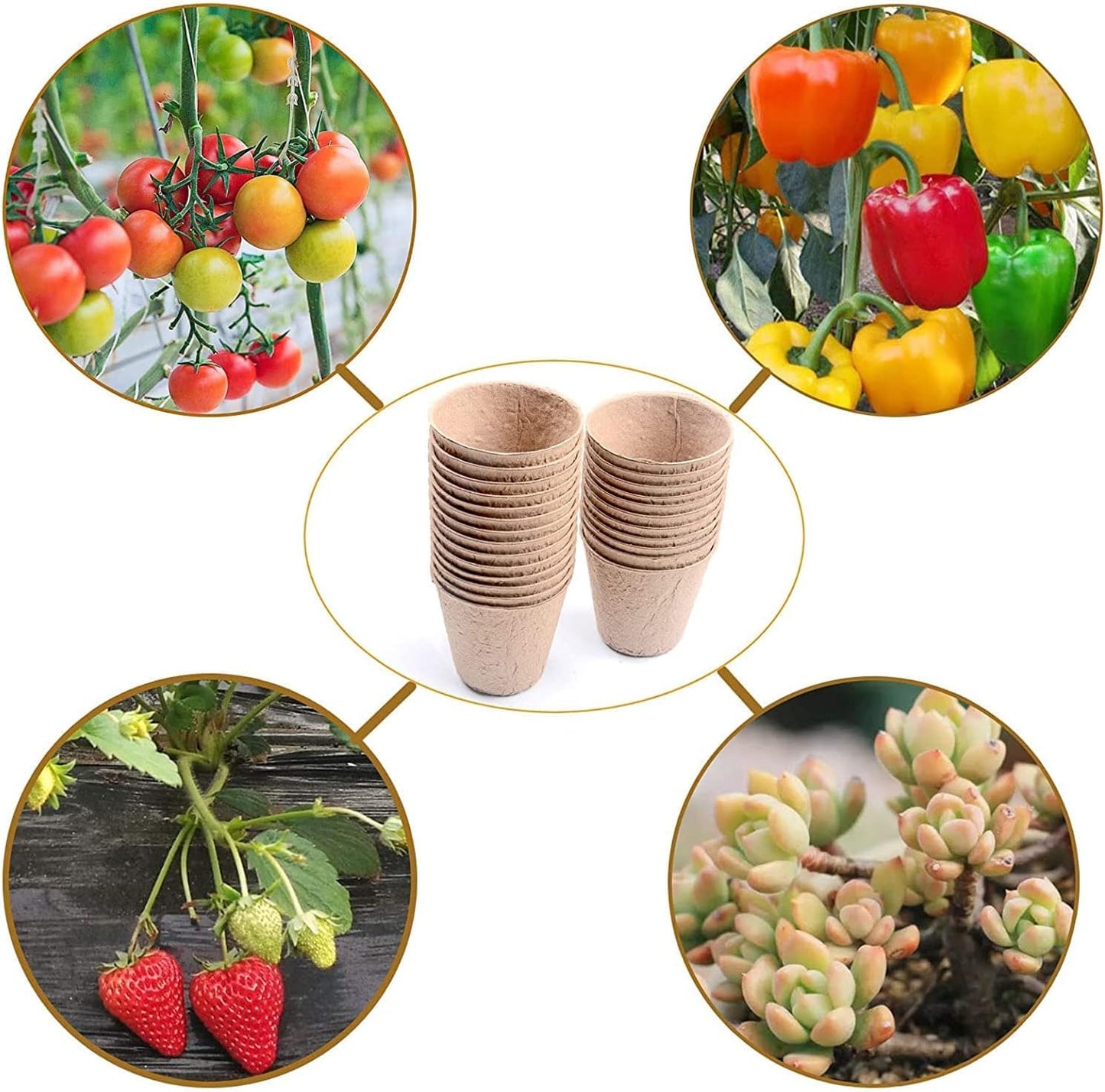 Cymax 100 Pack 8cm Round Fibre Biodegradable Pot Seed Seedling Pot with 100pcs Plastic Plant Lables, Biodegradable Herb Plant,Flower,Seed Starter Pots Kits, Garden Biodegradable Nursery Pot