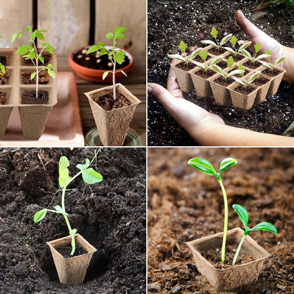 KINGLAKE 20 Pack 240 Cells Seed Trays Seedling Pots Biodegradable Plant Pots Fibre Seed Pots, Plant Germination Module Trays Kits with 100 Plant Labels, Transplanting Widger and Dibber