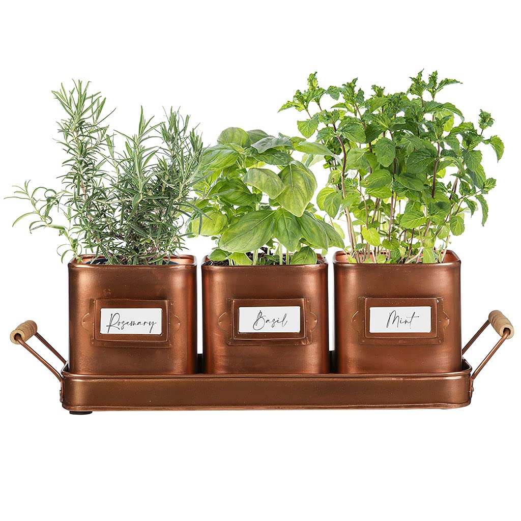 Dibor Indoor Herb Planters on Tray Set of 3 Rustic Copper Metal Kitchen Windowsill Plant Pots Spring Easter Gardening Gift