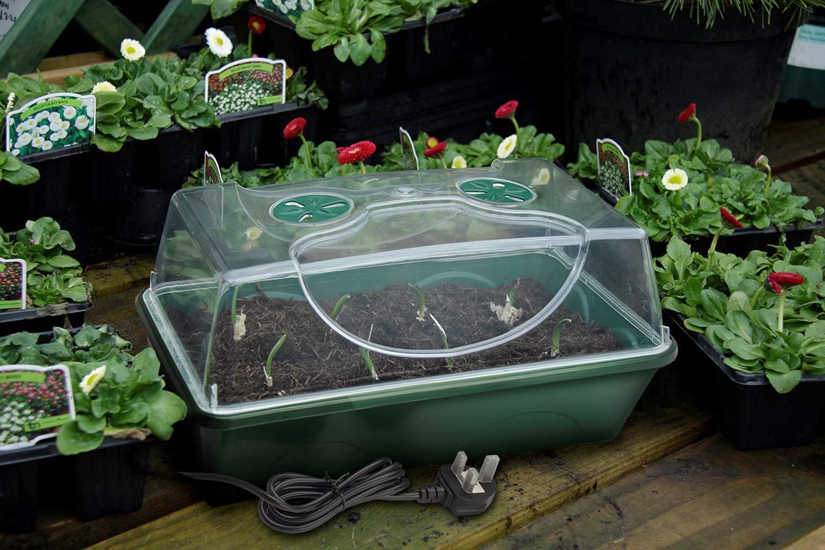 EarlyGrow MPL50035/P Heated Electric Shatter Resistant Medium Propagator for Seed Germination and Growth - 38 x 24 x 20 Centimetres - Green