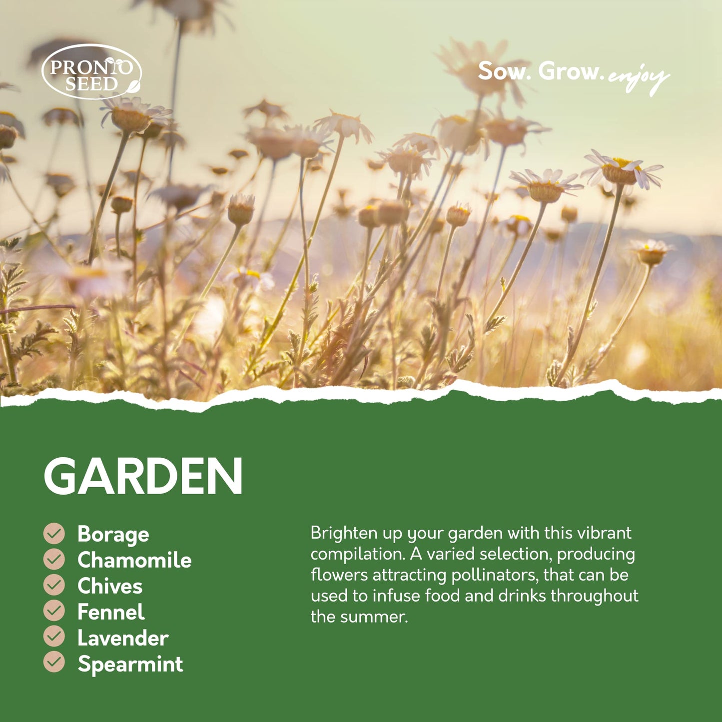 Pronto Seed Herb Bumper Pack - Grow Your Own Kit with 24 Herb Varieties - Aromatic, Mediterranean, Garden & Classic Herbs - Gardening Gift for Women and Men (Herb Pack)