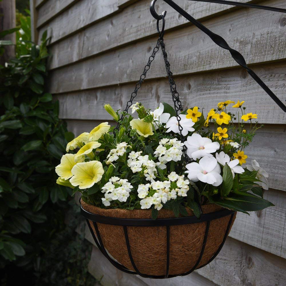Thompson & Morgan Natural Garden Hanging Baskets & Liners Perfect for Trailing Plants and Flowers 30cm Metal Hanging Basket Frames & Coconut Husk Liners (2)
