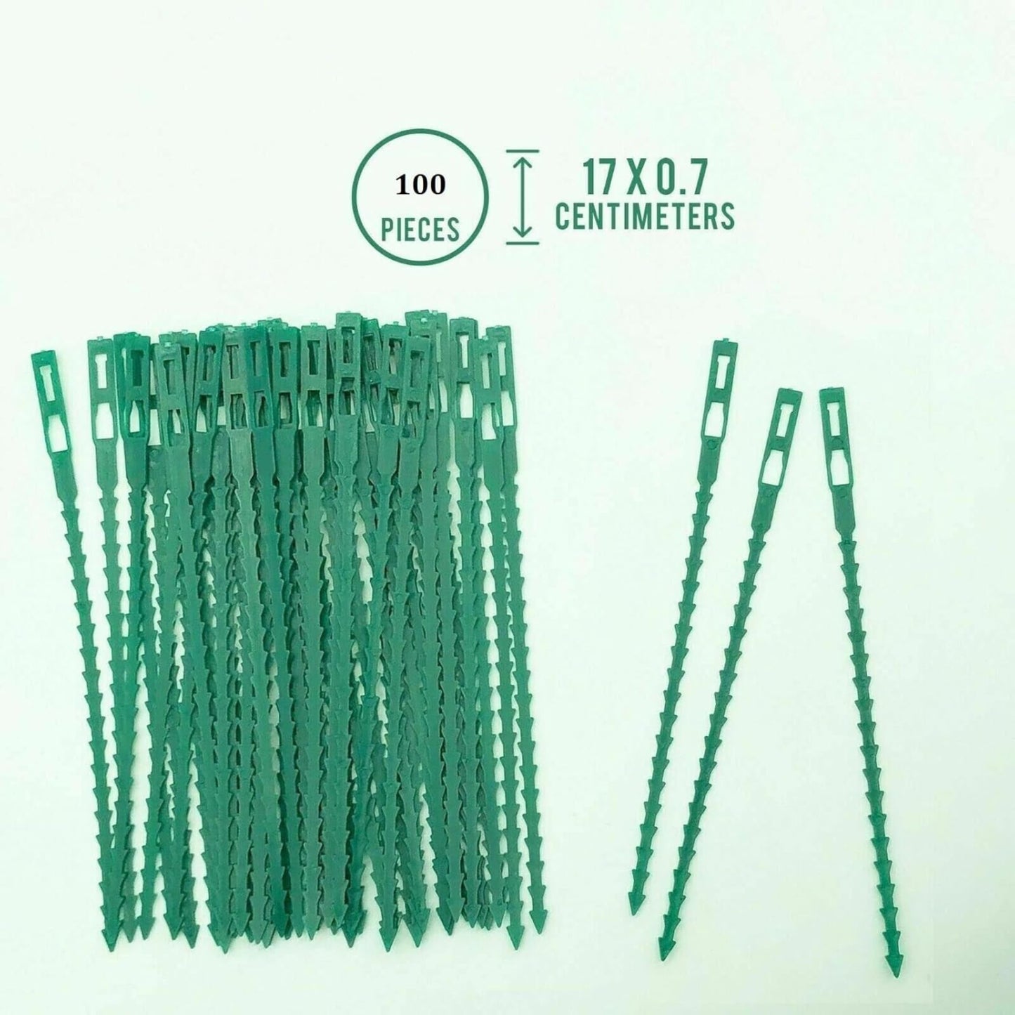 FERRIS | Ultra-Strong Garden Plant Ties for Climbing Plants | Flexible & Reusable Heavy Duty Green Shrub Ties | Multi-Purpose Use on Indoor & Outdoor Garden Plants and Trees (100, Green)
