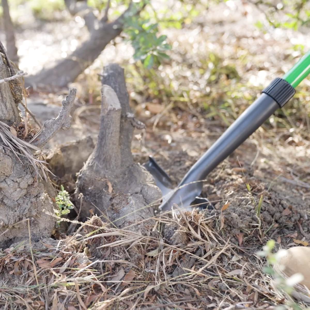 JML Rayzer Shovel Spade - Garden Tools for Root Cutting and Sawing in One with Serrated Saw Teeth and Durable Carbon Steel Head for Hard Ground - Saw Through Thick Branches and Clear Scrub