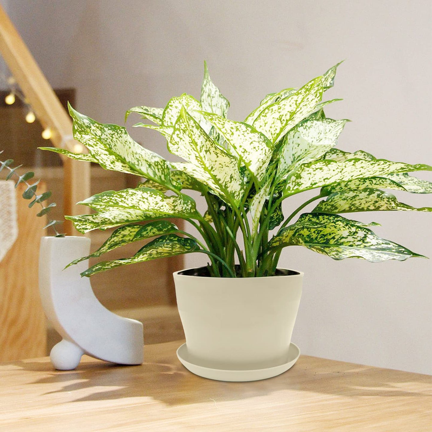 WAIZHIUA 8Pcs 14cm Plant Flower Pots Colorful Plastic Plant Pots Indoor Flower Pots Plant Container Planters with Trays for Office House Succulent Fruit Vegetable Seedlings Transplanting, 8 Colors